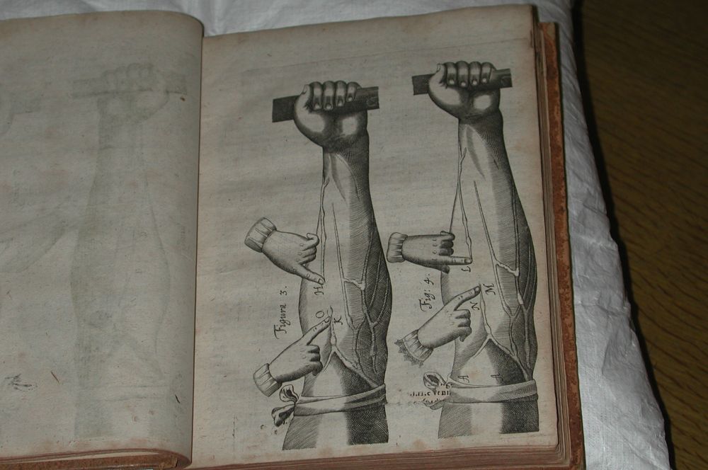 A book resting on a cushion opened at a page showing illustration of an experiment on two ligated arms to show that blood in the veins flows towards the heart rather than away from it.