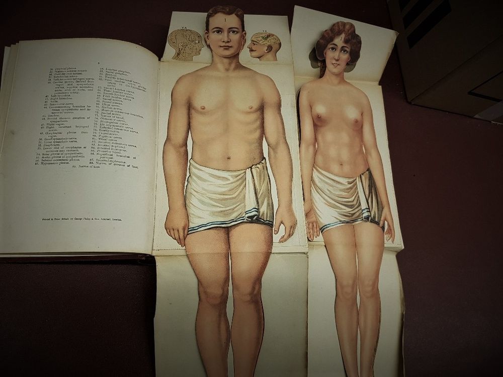 Cassell's People's Physician open at a page with two paper manikin fold-outs illustrating a man and woman stripped to the waist, with text on the adjacent page.