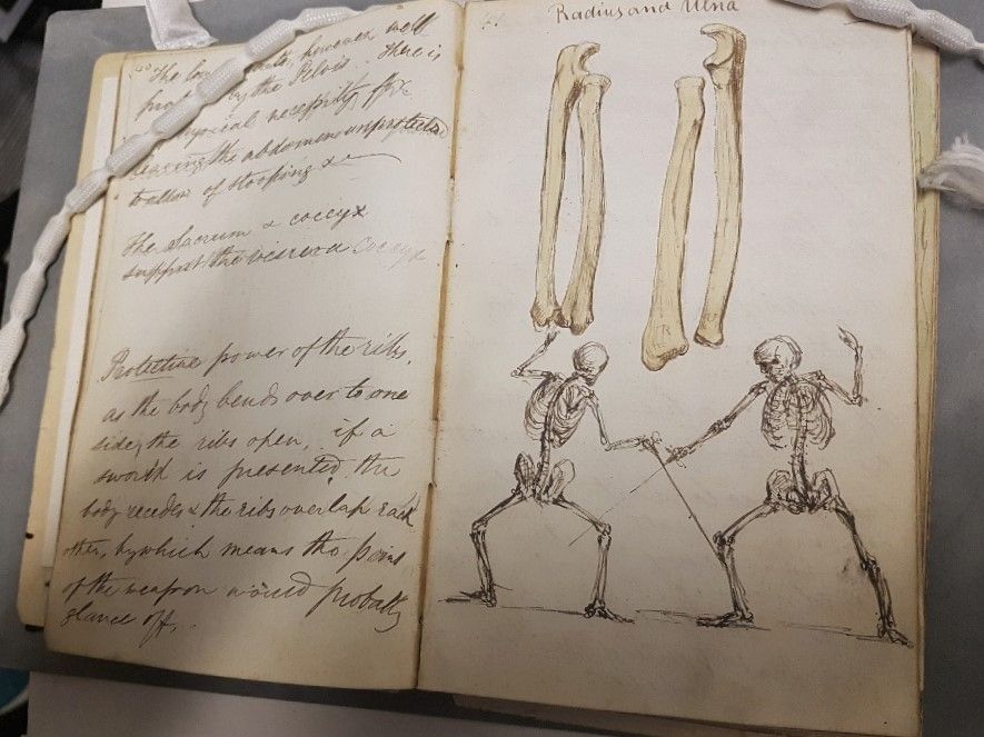 Lecture notebook open at a page with handwriting and illustrations of the forearm bones, and some skeletons fencing. 