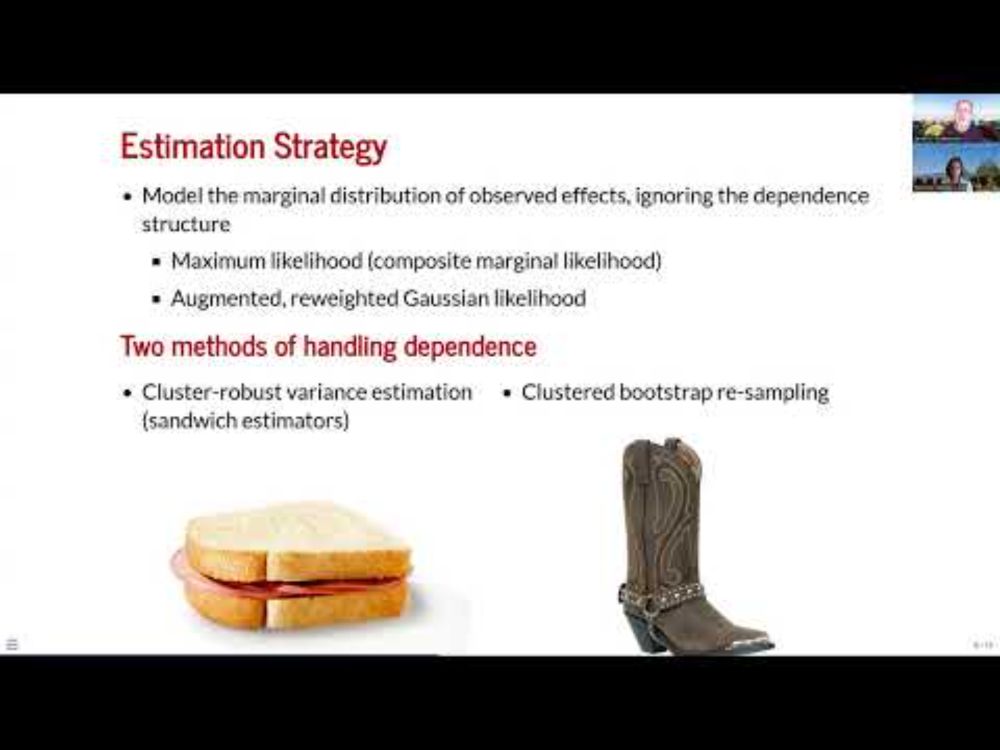 ESMARConf2025: Tutorial metaselection: Meta-analytic selection models with... - James Pustejovsky