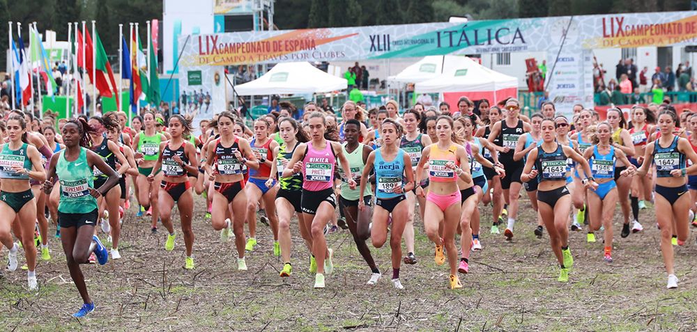 Cross de Itálica 2024. Imagen: Diputación de Sevilla