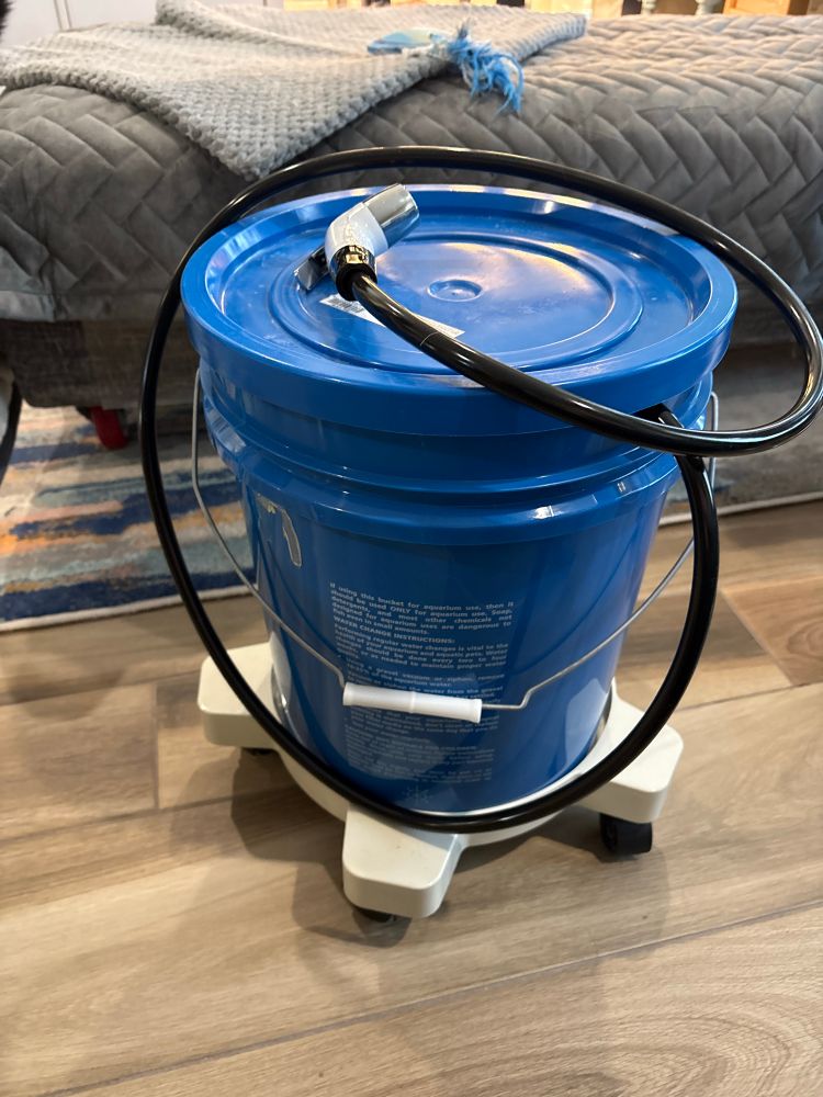 Five gallon bucket on a bucket dolly with a camping shower head coming out of it.