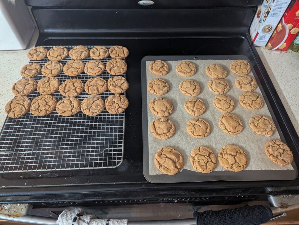 molasses cookies sitting on a tray and cooling rack
