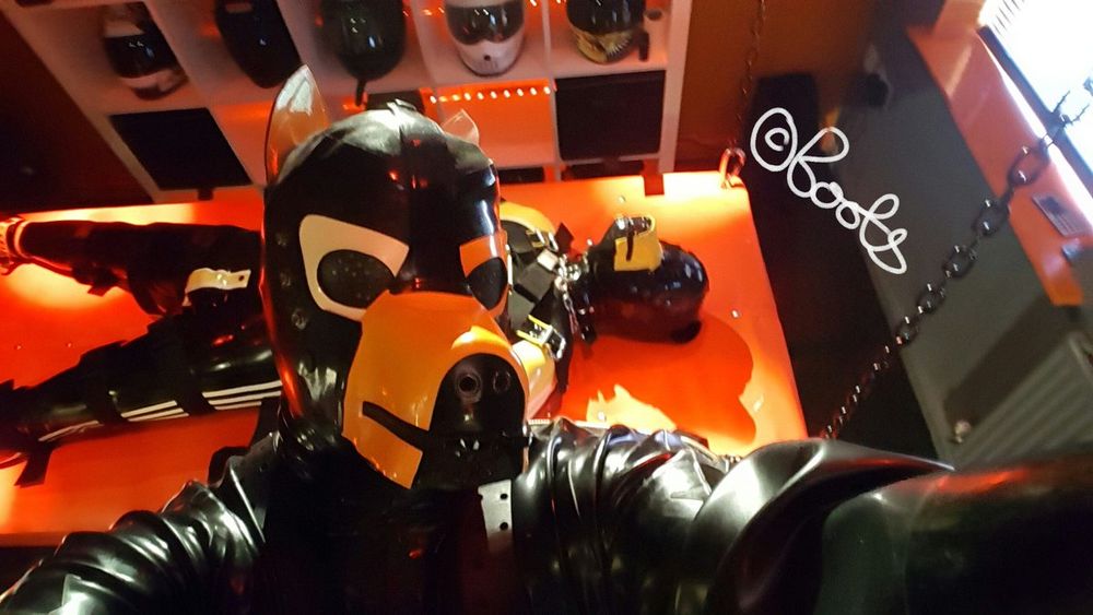 Total rubber encased pup taking a selfie whilst another rubber pup is strapped down to a bondage table behind it