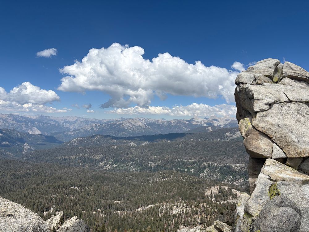 Lots of pine trees in the Sierra Nevada with a stack of granite on the right of the photo. Poofy white clouds in the sky 