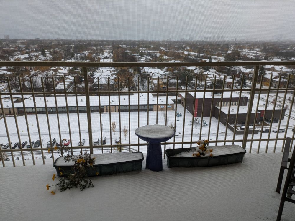 A high balcony covered in snow. Blue bird bath and orange marigolds snow-covered, with a snowy schoolyard in the background. Did I mention there was snow?