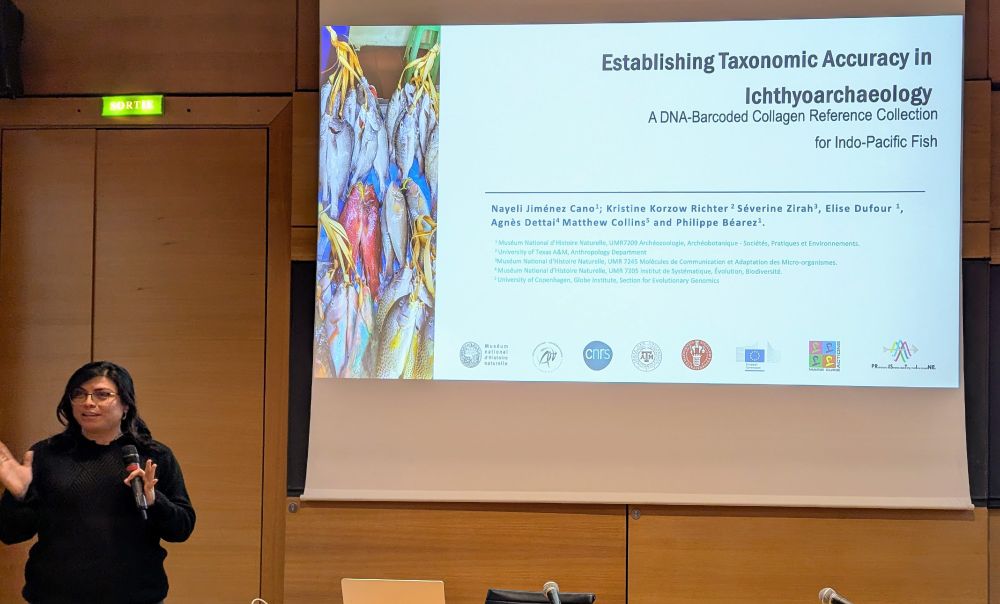 A presentation title slide showing 'Establishing Taxonomic Accuracy in Ichthyoarchaeology: A DNA-Barcoded Collagen Reference Collection for Indo-Pacific Fish' with an image of colorful fish at a market or dock. The presenter, Nayeli Jiménez Cano, stands in a black sweater speaking into a microphone. The slide shows multiple institutional logos including the Muséum National d'Histoire Naturelle and CNRS.