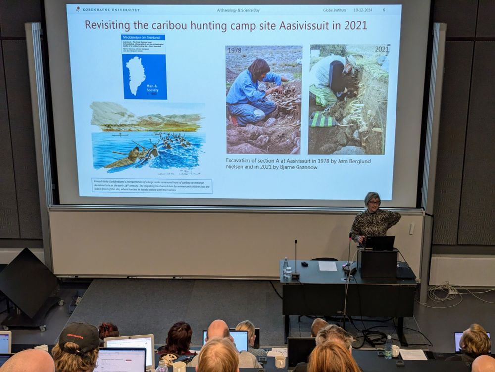 A presentation slide titled 'Revisiting the caribou hunting camp site Aasivissuit in 2021' shows three images: an artistic illustration of kayakers hunting caribou in water, and two excavation photos from 1978 and 2021 showing archaeologists working at the same site. A map of Greenland and the journal 'Man & Society' logo are visible in the top left. The presenter stands at a podium on the right side of the frame, with audience members visible in the foreground.