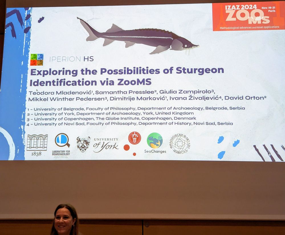 A presentation slide showing the title 'Exploring the Possibilities of Sturgeon Identification via ZooMS' with an illustration of a sturgeon at the top. The slide lists authors from multiple institutions including the Universities of Belgrade, York, Copenhagen, and Novi Sad. The IPERION HS logo and institutional logos are displayed at the bottom. In the top right corner is the IZAZ 2024 conference logo. The presenter, smiling, is visible at the bottom of the frame