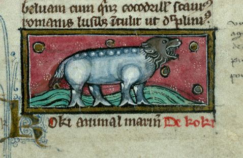 Image fo a seal  - by someone that has not seen one - from Valenciennes, ms 0320, Thomas de Cantimpré, Albert le Grand. Liber de natura rerum, vers 1280, 230 × 156 mm. Folio 116, Image : IRHT https://patrimoine-numerique.ville-valenciennes.fr/ark:/29755/B_596066101_ms_0320 (http://initiale.irht.cnrs.fr/codex/7876). 