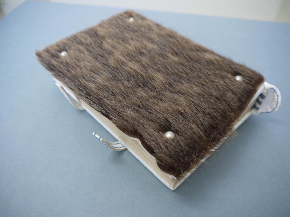 Mock-up of the original book binding by Elodie Leveque. Note that the fur is too dark in this mockup (image Elodie Leveque).
