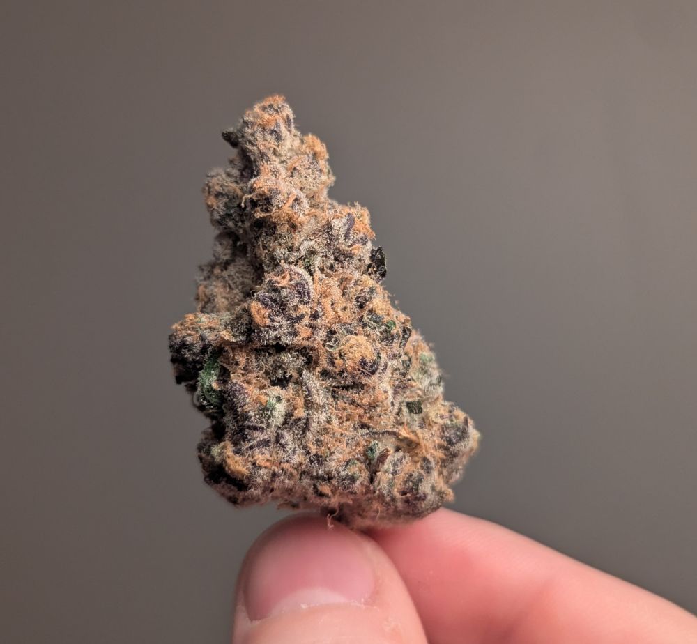 Super dank weed, touches of red hair and purp