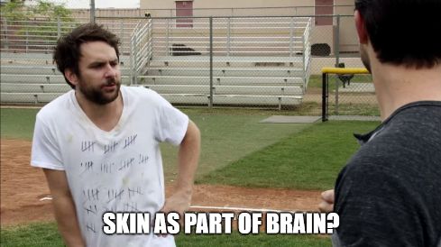 Charlie Kelley from Always Sunny drunk off 100+ beers. Caption is "Skin as part of brain?"