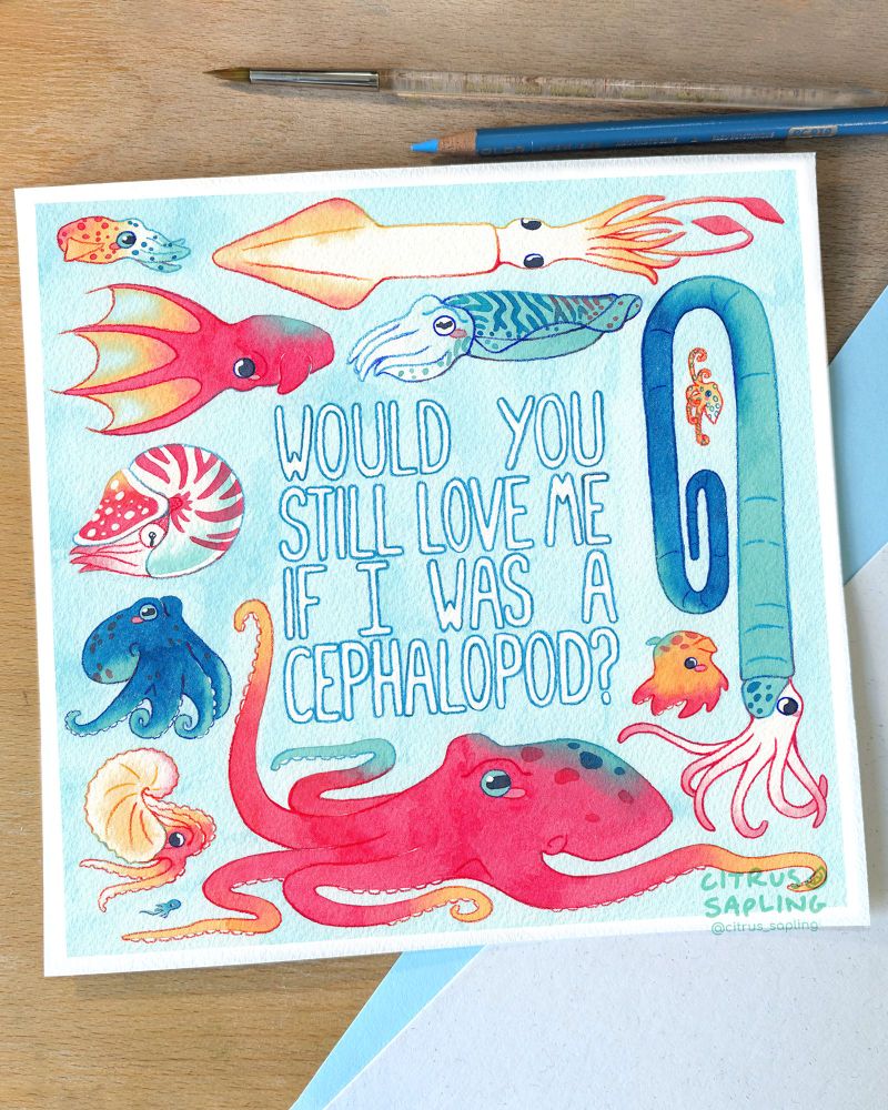 A watercolour piece featuring a collection of cephalopod species. They are painted in red, blue, orange, and cyan, on a light blue background. The text in the middle reads "would you still love me if I was a cephalopod?". The species from the top left moving clockwise are: bobtail squid, vampire squid, European squid, cuttlefish, diplomoceras, blue-ringed octopus, dumbo octopus, giant Pacific octopus, paper nautilus (male and female), coconut octopus, chambered nautilus.
