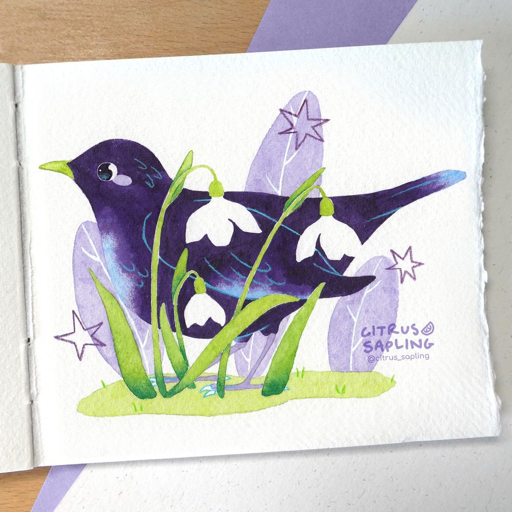 A watercolour painting of a blackbird, painted in dark purple with blue lines for feather details. In front of it are three snowdrop flowers making negative space in the bird. 