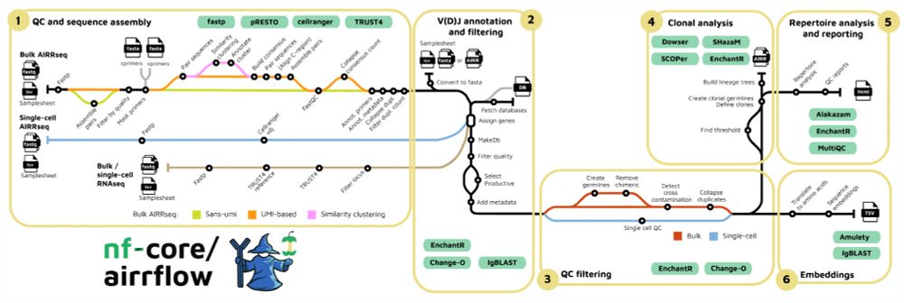 nf-core/airrflow metro map showing the included analysis steps.