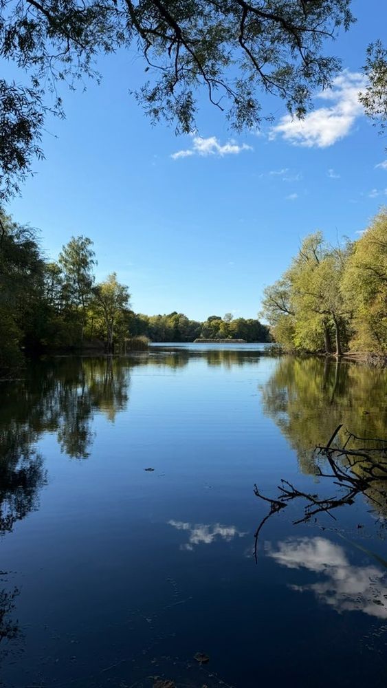 Calm waters, clear skies, and pure serenity 🌿💧☀️