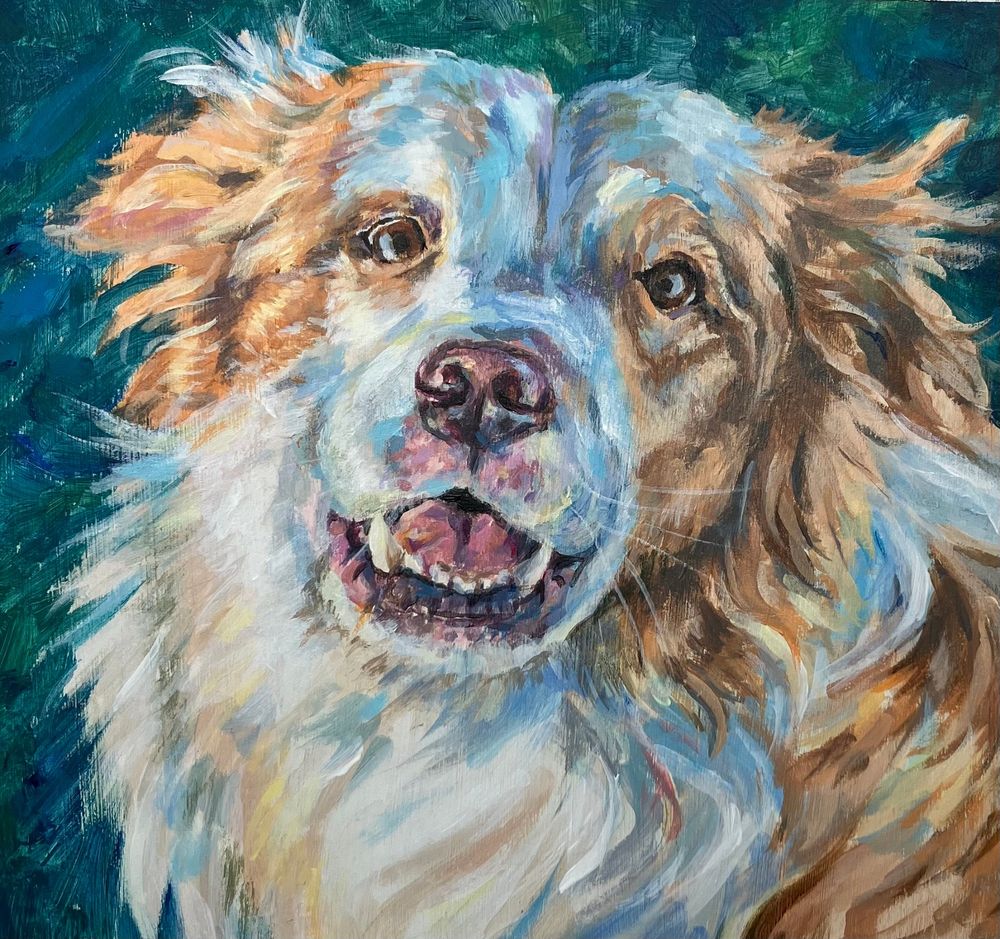 A colorful study in acrylic paint of a border collie (red and white) with a green background. 