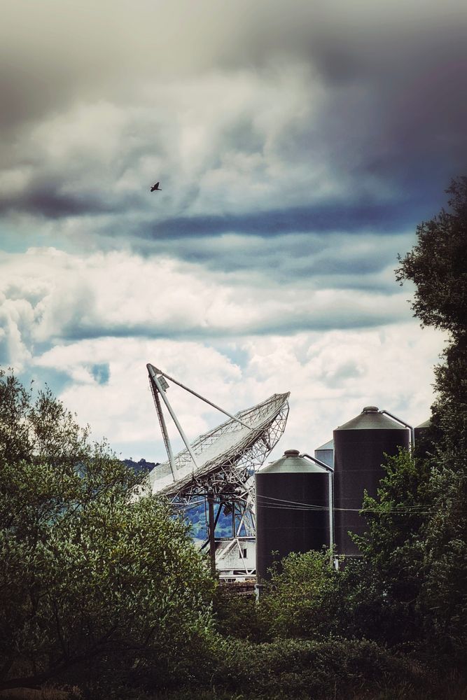A large satellite dish stands prominently beneath a dramatic, cloudy sky, partially obscured by lush green trees in the foreground. To the right of the dish, two dark, cylindrical industrial silos are visible. A single bird flies high in the sky, positioned above the satellite dish. The overall mood is slightly moody due to the heavy clouds, but also suggests a sense of awe and scientific endeavour.