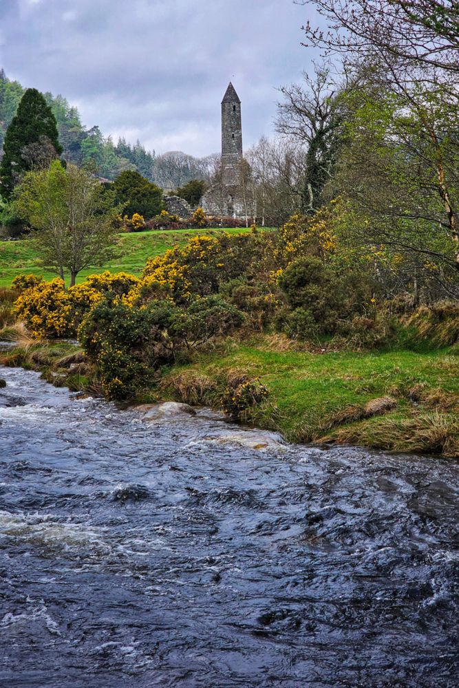 A tall, grey, conical round tower stands majestically on a green hill overlooking a dark, flowing river. The river occupies the lower half of the image, with dark, choppy water. The hill is covered in green grass and bright yellow gorse bushes. Various trees with both green leaves and bare branches frame the scene under an overcast sky. The overall mood is historic and serene, capturing a typical Irish landscape.