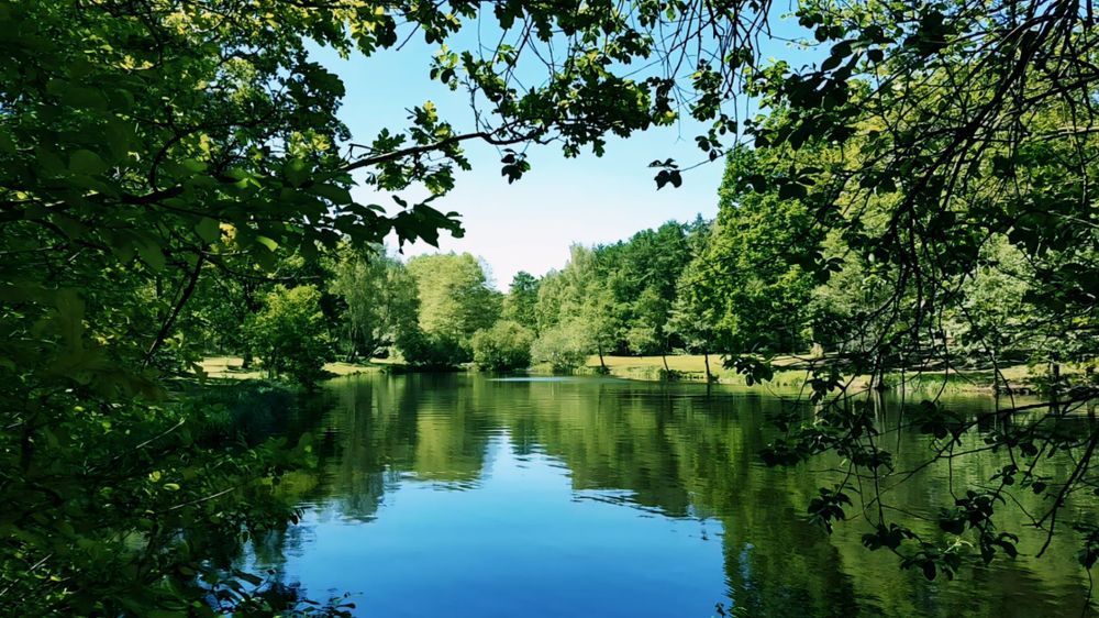 A serene view of a calm lake surrounded by lush green trees under a clear blue sky. The branches of the trees in the foreground frame the peaceful scene, and the surrounding greenery is perfectly reflected in the still water. The image evokes a sense of tranquility and natural beauty.