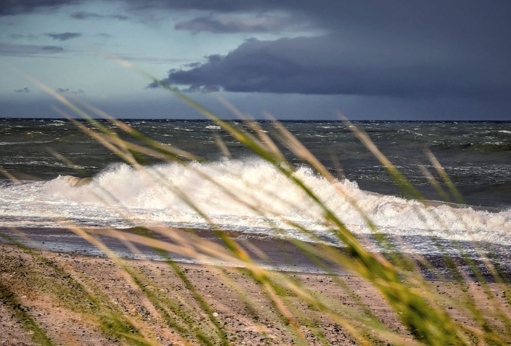 A dramatic image of a stormy sea. In the foreground, out-of-focus green grass sways in the wind. The middle ground shows a sandy beach leading to a large, white-crested wave crashing onto the shore. The background is a dark, churning ocean under a menacing, cloudy sky.
