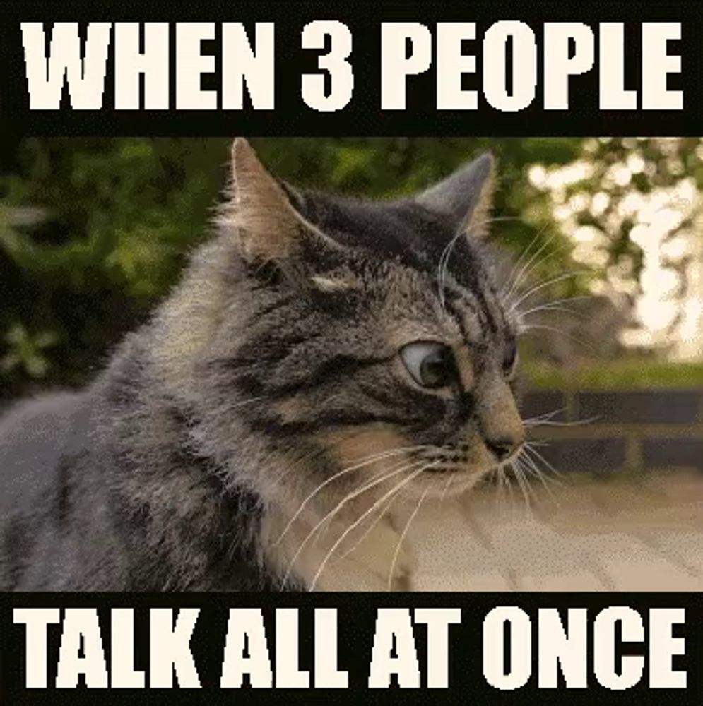 a cat with the words when 3 people talk all at once on the bottom