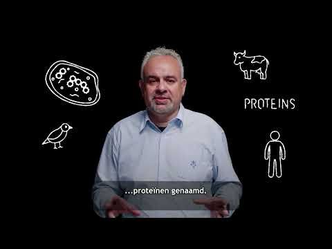 Eiwitten voor het volk - Tassos Perrakis