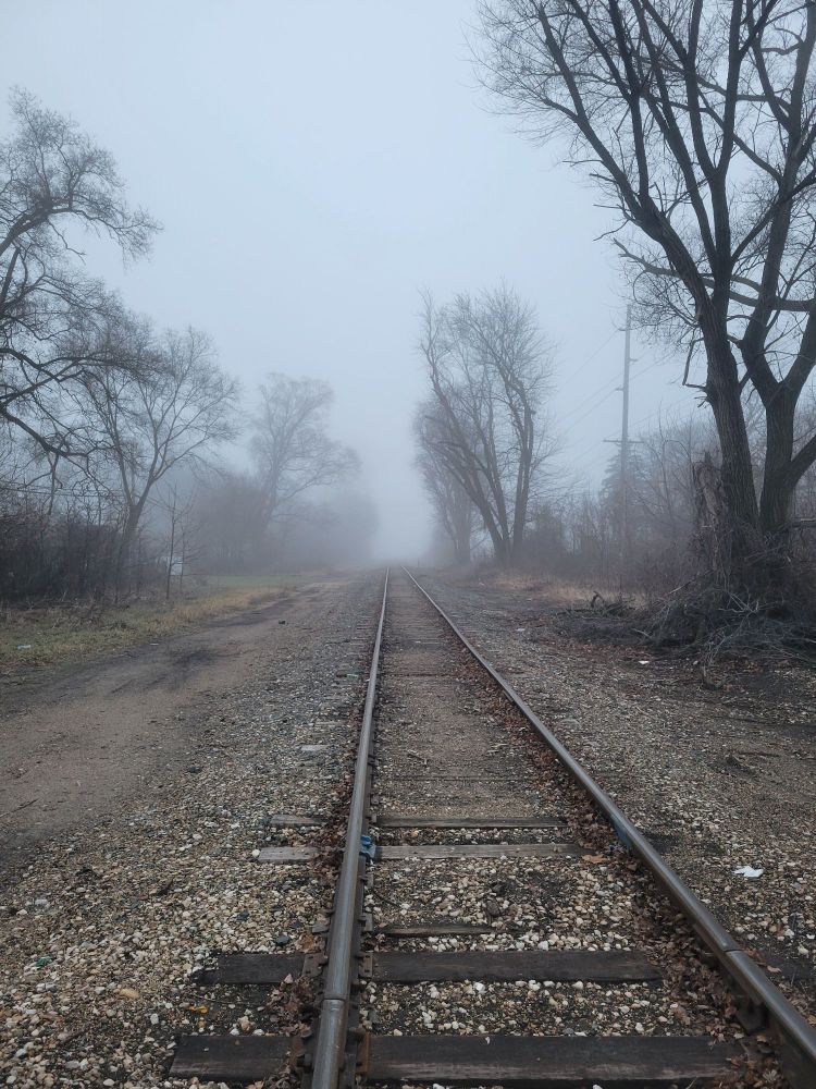 Railway line boardered by leafless trees disappears into thick fog