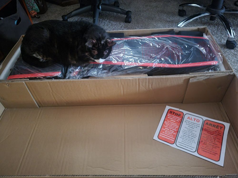 Large cat laying across partially opened box of weight bench. 