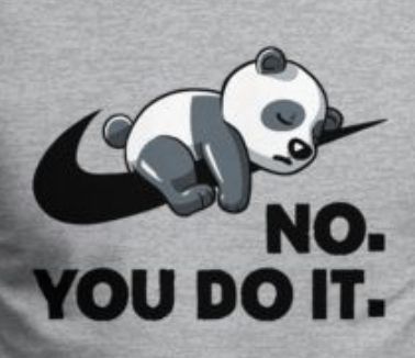 En panda ligger och sover på nike-loggan. Text: No. You do it.