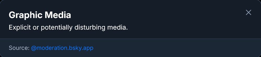 Graphic Media
Explicit or potentially disturbing media.
Source: ‪@moderation.bsky.app‬