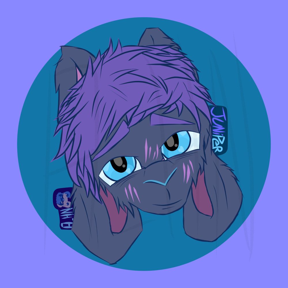 Drawn July 6th