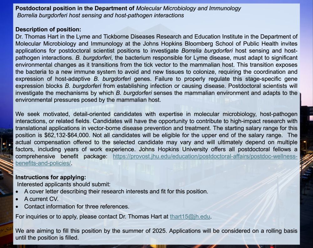 A more detailed job posting