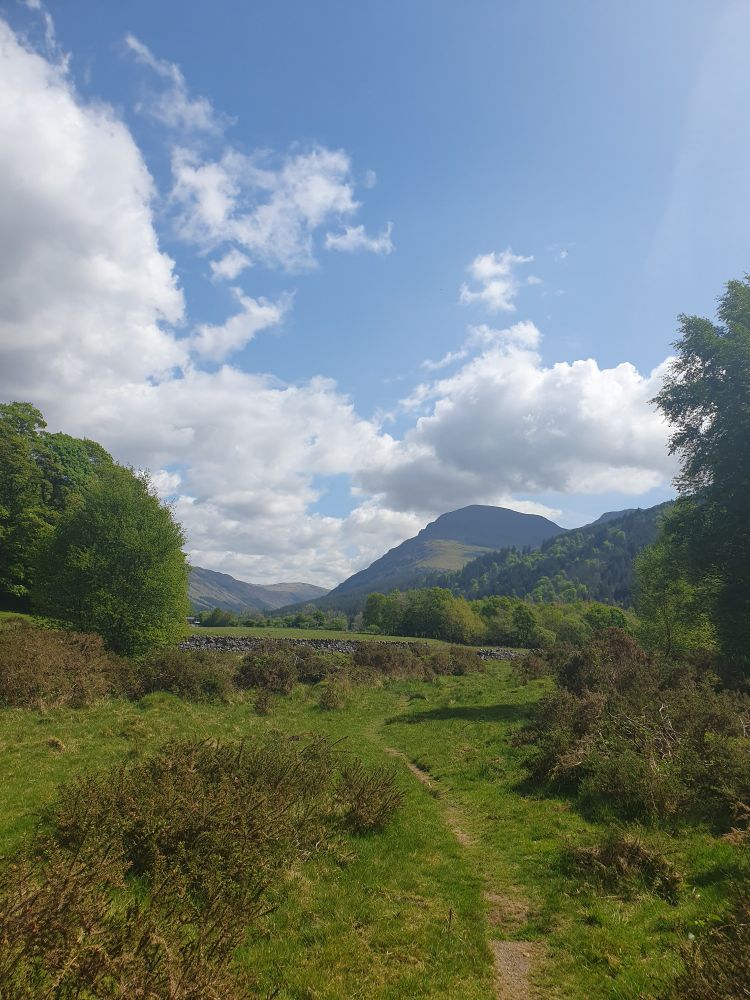 Shot of the Ennerdale valley with trees on either side and mountains rising in the background.