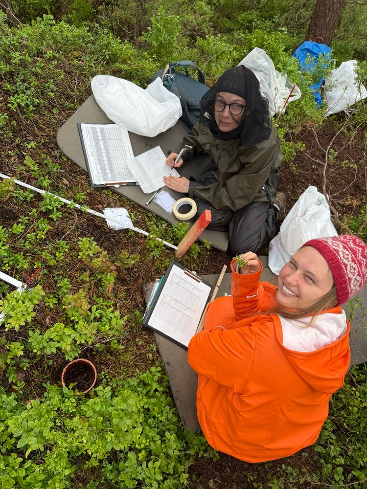 Two scientists in heavy-duty raingear, smiling, sitting amongst blueberry plants with a lot of sampling gear and data sheets. Fieldwork! 