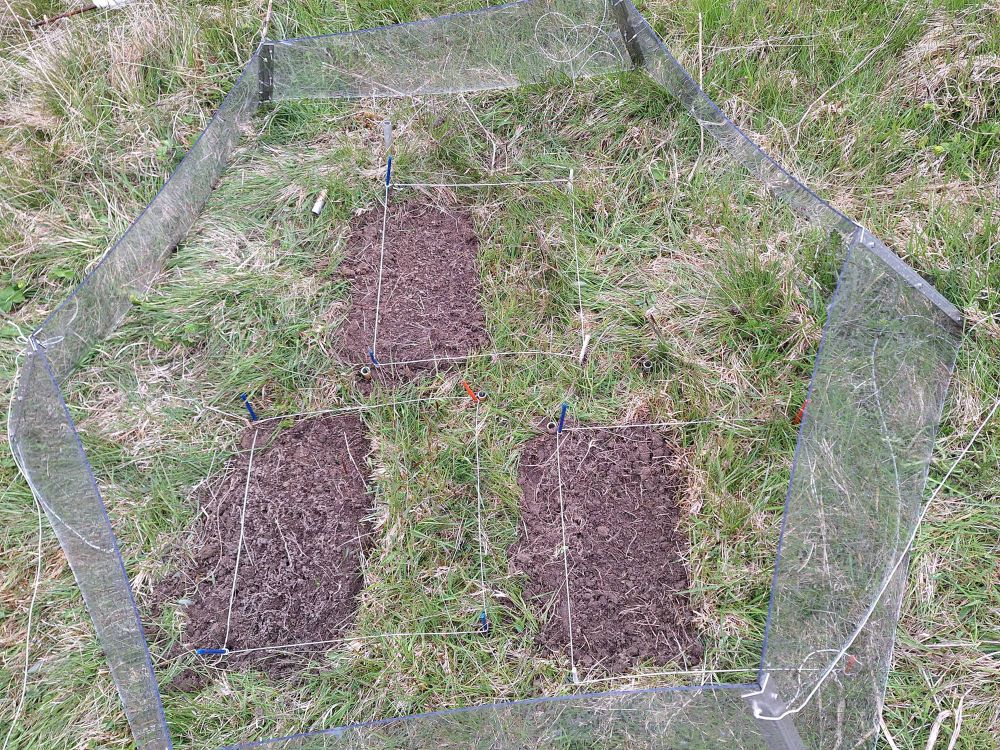 An Open Top Chamber (OTC( in a grassland, seen from above, with some plots inside. The plots are 50% vegetarion, 50% bare soil. 

 OTCs are small glasshouses without roofs that are extensively used in climate change research to warm Arctic and alpine vegetation to experimentally Assessment climate change impacts.