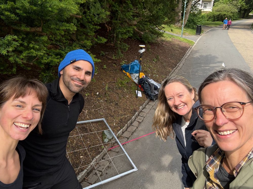 #Fieldworkselfie - four scientists and a vegetation plot, demarcated by a mental frame. This plot is part of a random sample of 200 sick plots in Bergen Municipality. And this particular one ended up on a roadside in Nygårdsparken! 
