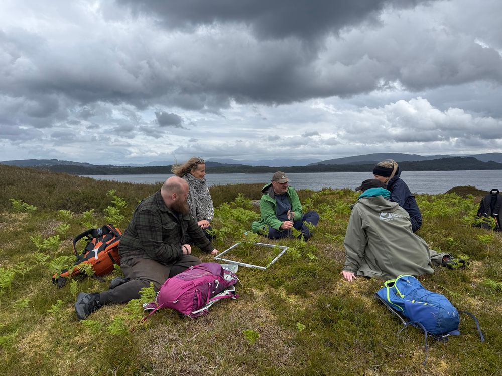 A group of scientists sitting around a metal vegetation plot in a heathland - discussing protocols. 