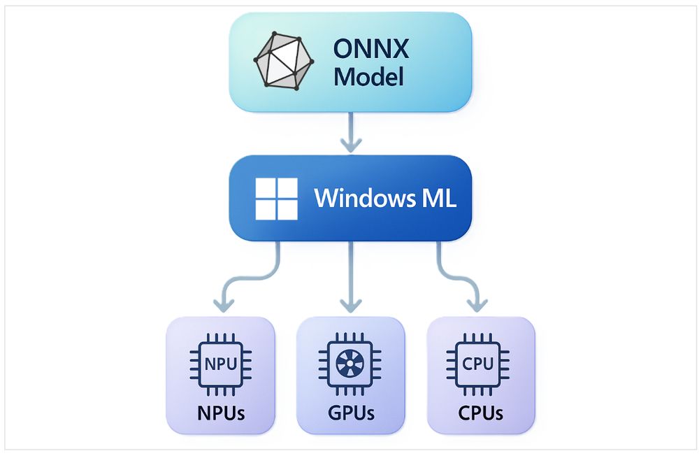 Diagram showing how Windows ML sits underneath ONNX Models and above NPUs, GPUs and CPUs