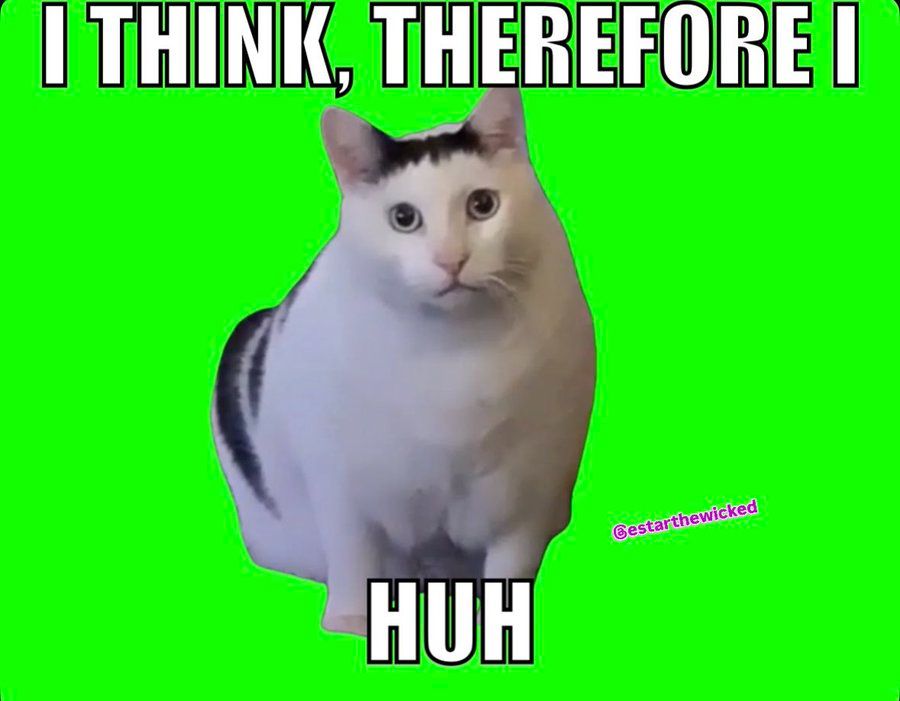 Meme with the "huh?" cat, that reads: "I think, therefore I HUH"