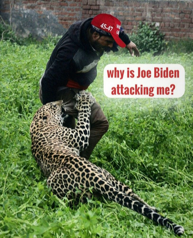 Comment image