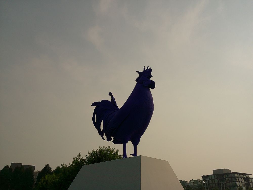 photo of a large blue rooster sculpture with the sky as a background