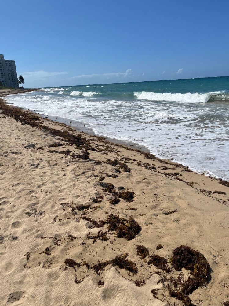 A beach, with rough surf