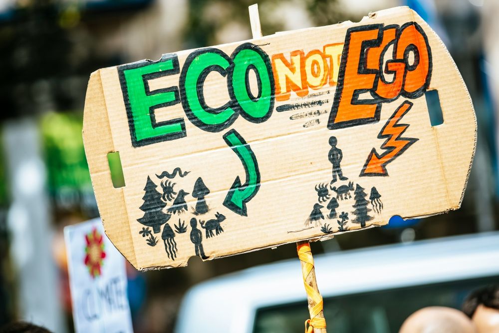 Schild von einer Klimademonstration, auf dem "Eco not Ego" zu lesen ist. 