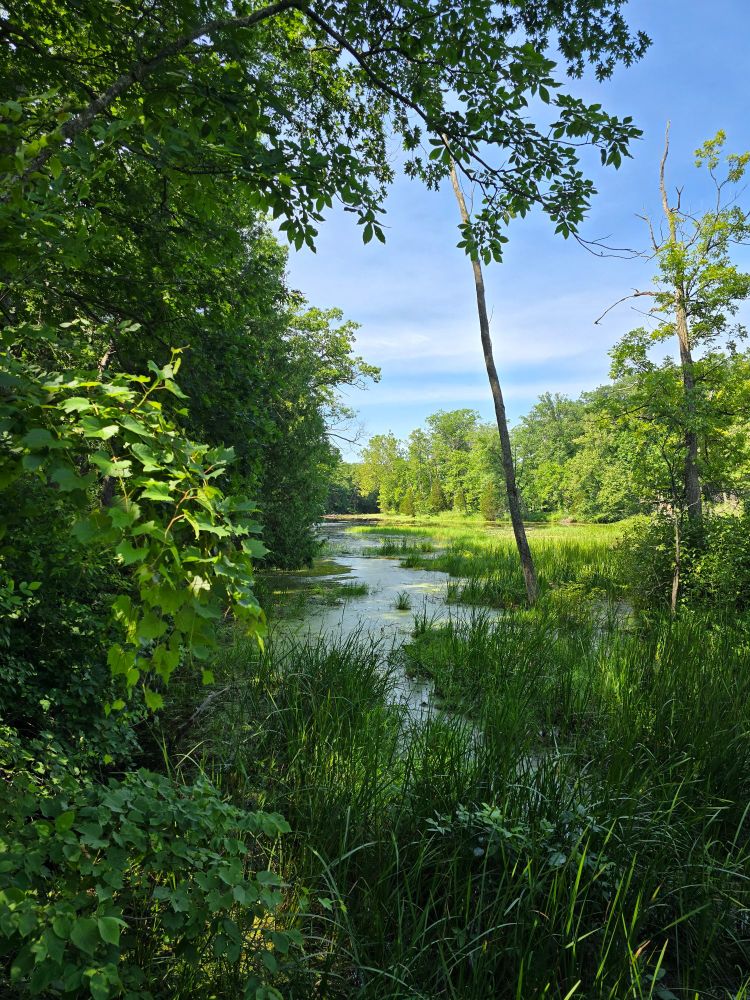 View of the Old Ausable Channel in Pinery Provincial Park, Ontario. 
