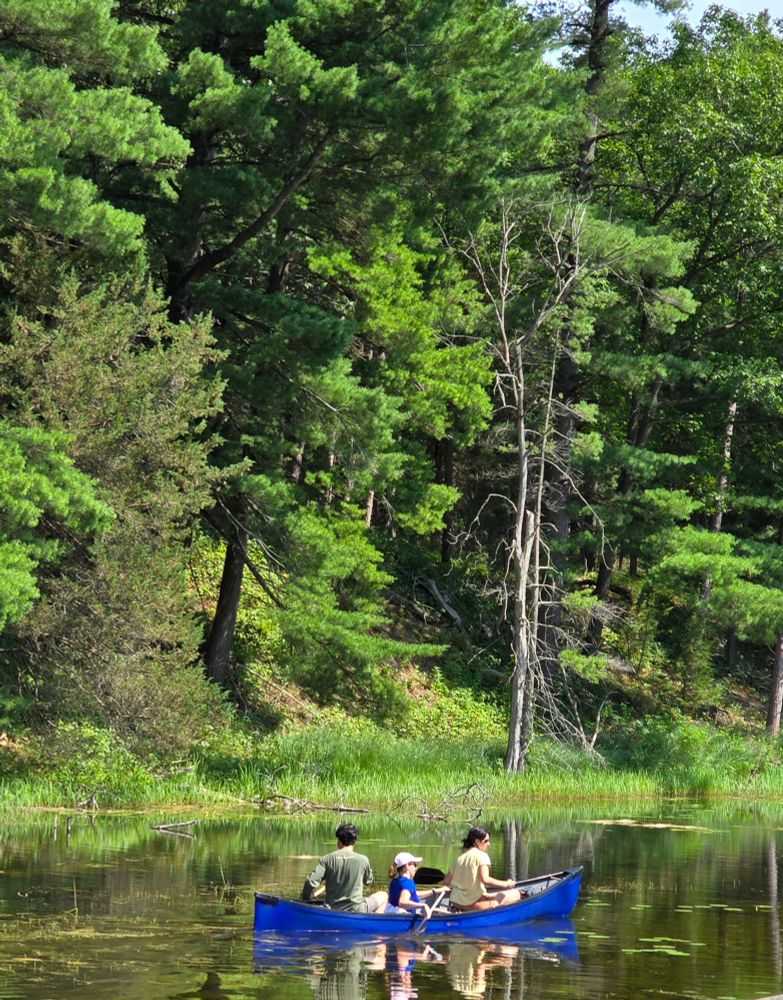 Canoeing in the Old Ausable Channel in Pinery Provincial Park, Ontario. 