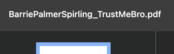 BarriePalmerSpirling_TrustMeBro.pdf
