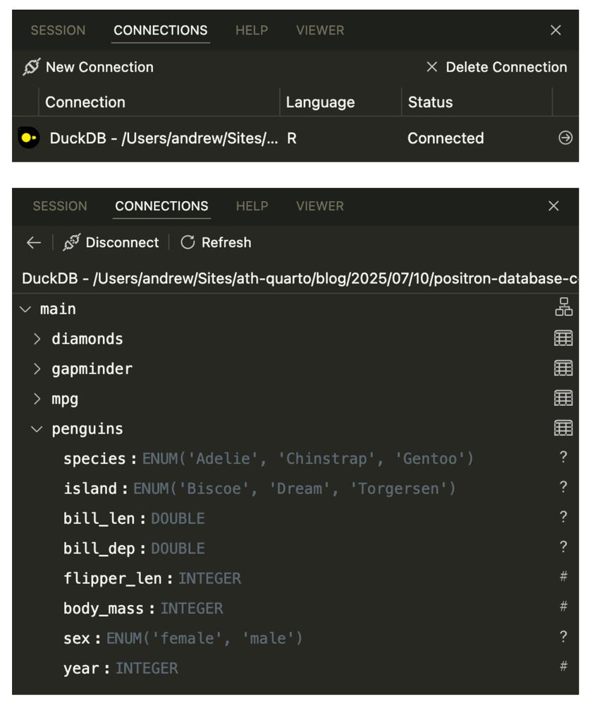 Screenshot of a connection to a DuckDB database, and a screenshot of the columns of one of the tables in that database