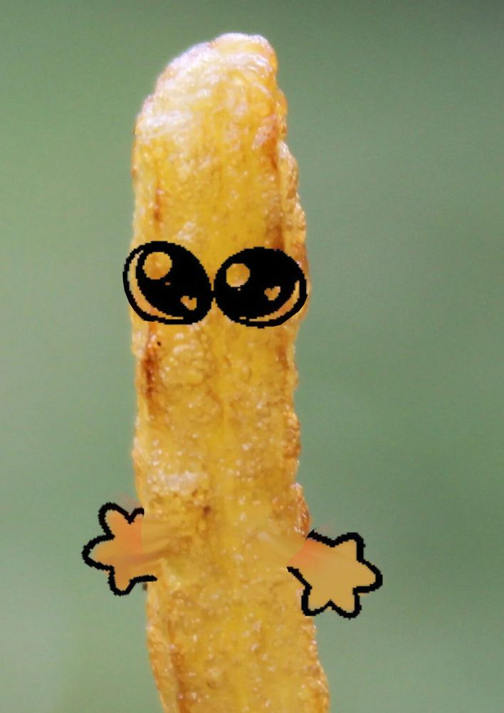 Une frite avec des gros yeux en mode uwu